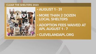 Clear the Shelters 2023 The Cleveland Animal Protective League [upl. by Volin439]