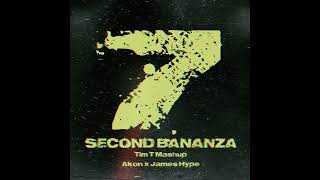 7 Second Bananza Tim T Mashup  Akon x James Hype [upl. by Cohdwell]