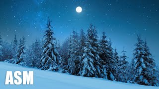 Winter  AShamaluevMusic Beautiful and Inspirational Winter Music [upl. by Alice867]