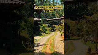 Budget Friendly Resorts in Wayanad wayanad resort resortlife [upl. by Ellehcam]