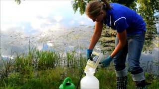 Emerged Aquatic Pond Weed Application [upl. by Joanne]