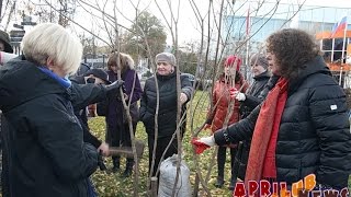 Посадка сирени в честь Александры Марининой [upl. by Effie199]