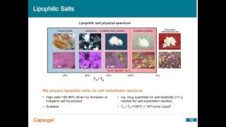 Enabling Formulation of WaterSoluble and WaterInsoluble Molecules Using a Lipophilic Salt Approach [upl. by Dranel345]