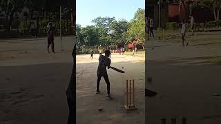 cricket cricket shots new batting [upl. by Etra]