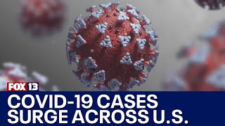 COVID19 infections surging across the country  FOX 13 Seattle [upl. by Esille]