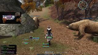 Lotro PvP  Grinding Rank 13 Burg New Years  Arkenstone [upl. by Ydnir]