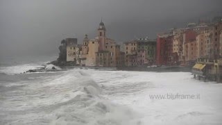 Mareggiata Camogli 2016 [upl. by Nylzzaj]