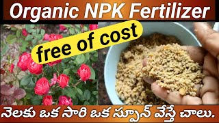 రూపాయి ఖర్చు లేదు6 నెలలు స్టోర్ చేసుకోవచ్చుHome made Organic NPK Fertilizer gardening gardentips [upl. by Ennahgiel986]