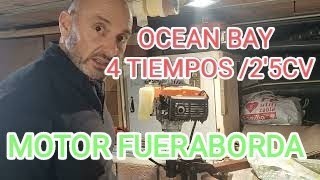 72 MANTENIMIENTO MOTOR FUERABORDA OCEAN 25 CV 4 TIEMPOS [upl. by Cleodel655]