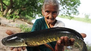 Koramenu Fish Recipe  Murrel Fish curry By Granny Mastanamma [upl. by Brunell]