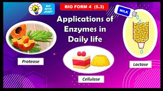 BIOLOGY FORM 4 53 APPLICATIONS OF ENZYMES IN DAILY LIFE [upl. by Mailli]