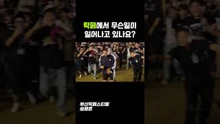 락페스티벌 근황 rock rockfestival music mob [upl. by Ymmat]