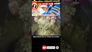 තල කැරලි ගෙදරදී හදන හැටි Thala karali recipe in Sinhala by ApeAmma [upl. by Nailliw]