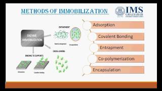 Enzyme immobilization [upl. by Annia]