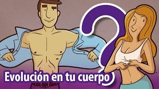 12 vestigios evolutivos ¡en tu cuerpo [upl. by Blancha121]