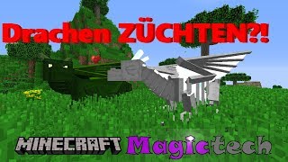 Drachen ZÜCHTEN  Minecraft Magictech 31 DeutschHD [upl. by Nylecsoj]