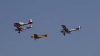 Fly Navy Trainers  Tutor Magister Tiger Moth Chipmunk  Shuttleworth Fly Navy Airshow 2016 [upl. by Naujid]