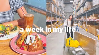 Nessie Diaries ☀️ IKEA shopping Brunch dates Kbeauty haul Making radish kimchi [upl. by Tryck586]