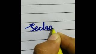 How write word Section with marker music music music [upl. by Ardath]