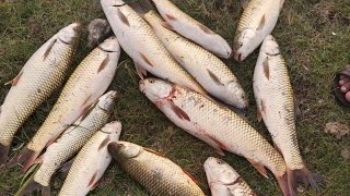 tarbela Dam new updatefishing 2024 🎣🐟fish beautiful point [upl. by Nottage]