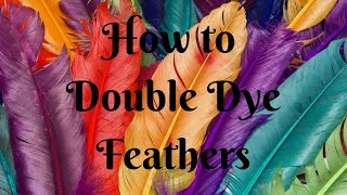 HOW TO ACHIEVE YOUR DESIRED COLOURED FEATHERS [upl. by Hsemar]