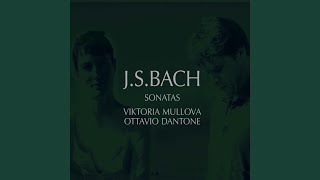 Sonata in E BWV 1016 for violin and harpsichord Adagio ma non tanto [upl. by Nibas687]