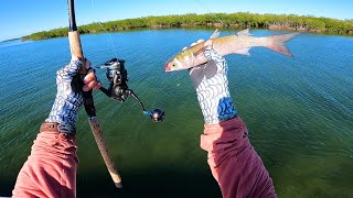 BIG FISH On The Flats In Crystal Clear Water Snook and Tripletail Fishing [upl. by Ailed176]