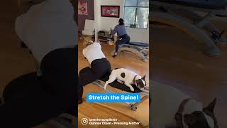 Stretch your spine with Gyrotonic exercises coretherapy austin gyrotonic [upl. by Jarietta]