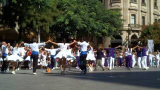 SARDANES A BARCELONA CONCURS PLA DE LA CATEDRAL2011 [upl. by Gaddi85]