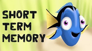 Short Term Memory Free Test  Examples [upl. by Eugenia]