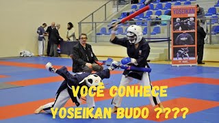 Você conhece o Yoseikan Budo [upl. by Annairoc]