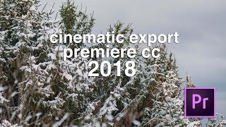 the most CINEMATIC EXPORT SETTINGS premiere pro cc 2018 [upl. by Leterg]