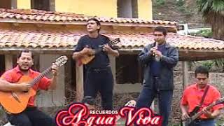 AGUA VIVA Nuestra casita Huayno Apurímac [upl. by Euton]