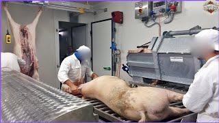 Why Spanish Iberian Ham is So Expensive  How Spanish Iberian Pig Process in Pig Processing Factory [upl. by Tterrej]