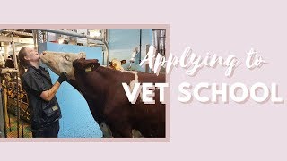 Getting in to Vet School  9 Essential Steps to Get In [upl. by Theurich159]