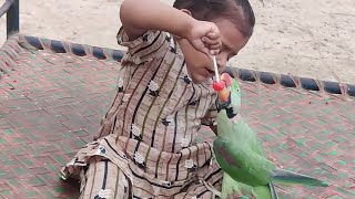 Mithu Ney Aj Cute Baby Se Tofi Cheen Li  Pets Vlog 13 August 2024  Anwar Shah Ustrana Official [upl. by Eimme]