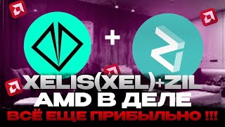 XELISXELZIL на AMD ХЕШРЕЙТ НАСТРОЙКА RX 570 5XXX 6XXX VEGA 5664VII AMD [upl. by Hairas884]