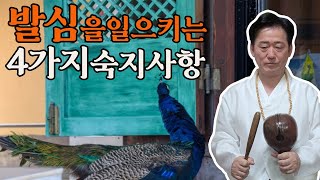 수행입문전 반드시 숙지해야하는 4가행 수행법  고정환박사제 968강 [upl. by Trueman]