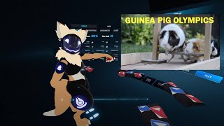 Guinea Pig Olympics  Parry Gripp 1 Miss [upl. by Lunna]