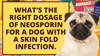 What’s the right Neosporin dosage for a dog with a skin fold infection [upl. by Madea548]