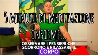 5 minuti di meditazione [upl. by Eignav]