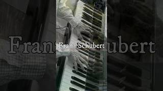 Franz Schubert  Impromptu Op903  シューベルト  即興曲 Op903 piano healingmusic [upl. by Ahsienot]