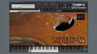 Sneakybass free double bass pizzicato sample library walkthrough [upl. by Katlaps923]