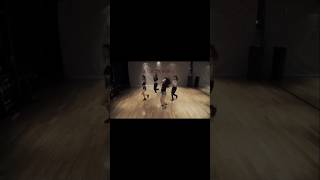 BLACKPINK JOURNEY  PART 7  WHISTLE DANCE PRACTICE VIDEO [upl. by Siravrat]