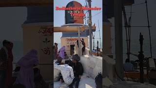 🥰 Bhadkeshwar Mahadev Temple  🙌 Mahadev Darshan In Dwarka mahadev shortvideo shortsfeed viral [upl. by Yevrah]