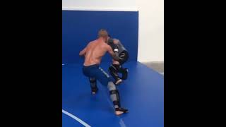 Tj Dillashaw hard low kick [upl. by Emsoc396]