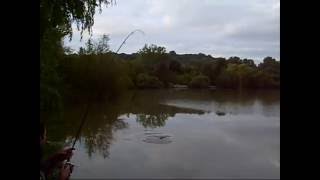 Carp Fishing in France at Lake Albert  Part 2 [upl. by Ociram]