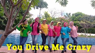 You Drive Me Crazy  Line Dance  Demo By Gendis [upl. by Hyland]