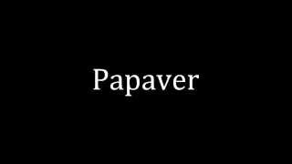 How to pronounce Papaver [upl. by Innos]