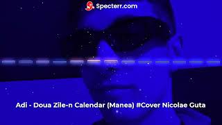 Adi  Doua Zilen Calendar Manea Cover Nicolae Guta [upl. by Onek408]